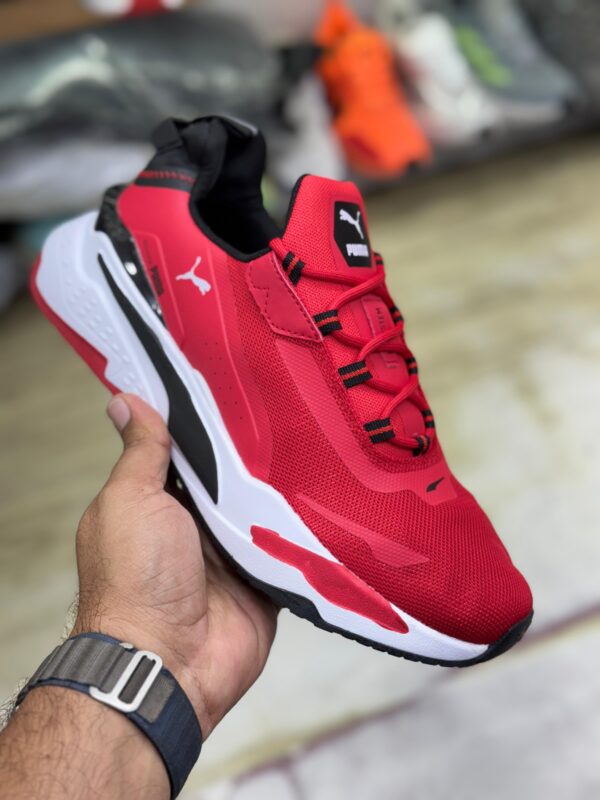 Puma rsx system