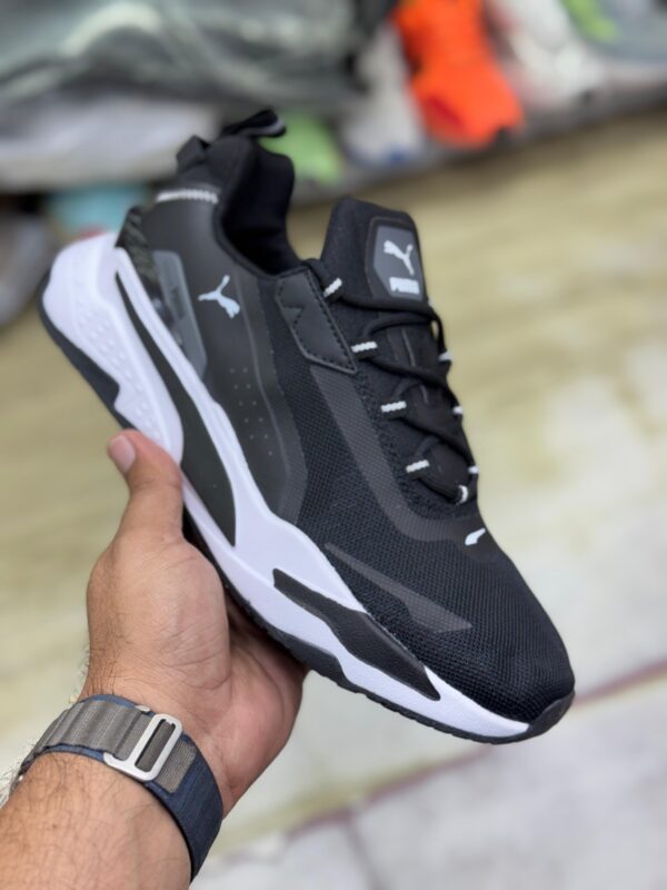 Puma rsx system 2