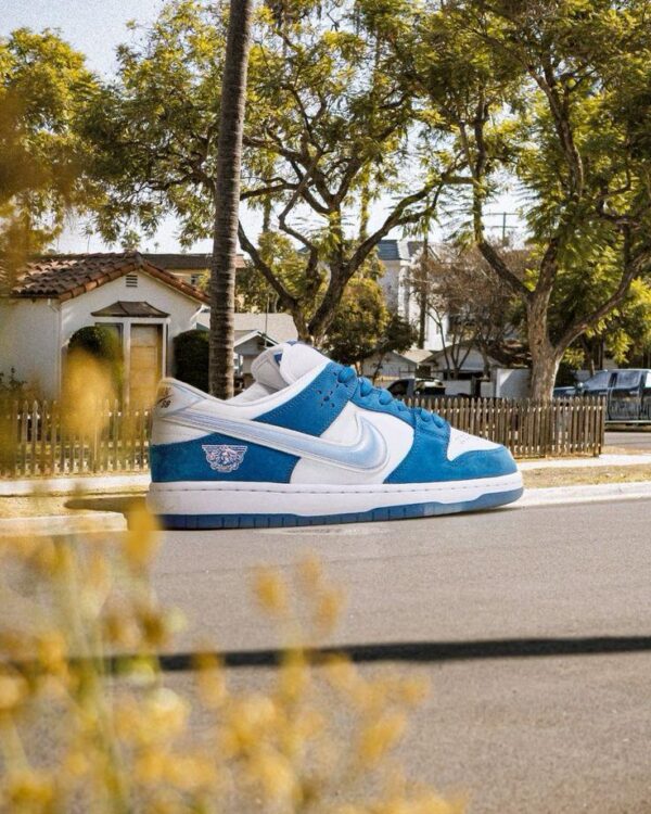 Nike sb dunk born x raised 1