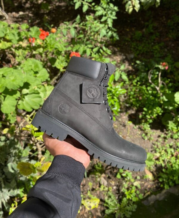 Timberland 6 - Image 2