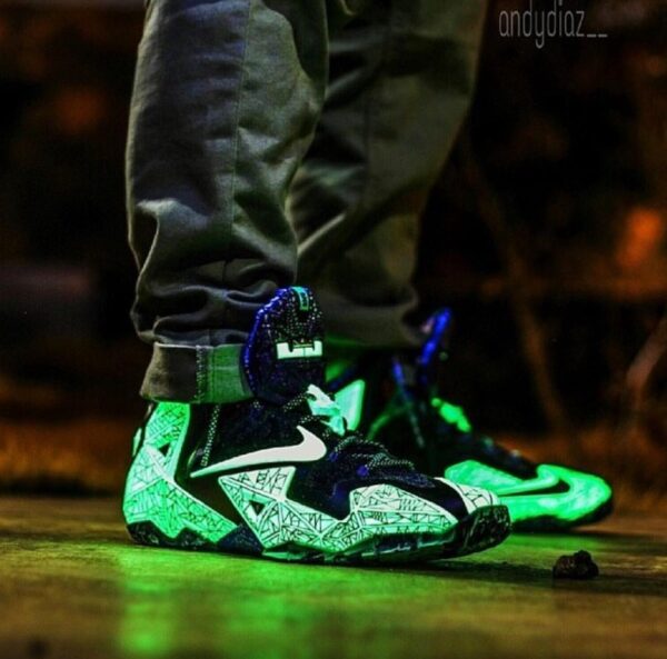 Nike lebron 11 gator king