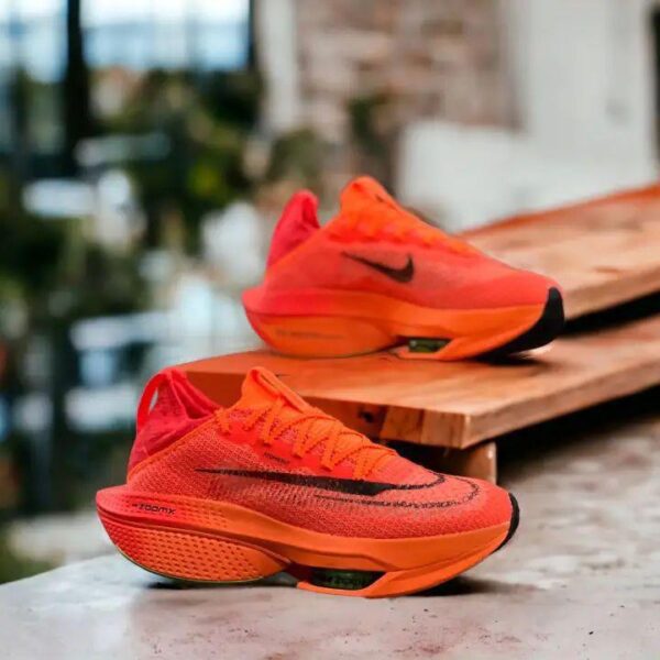 Nike zoom alphafly next 2 mi wint foam 6
